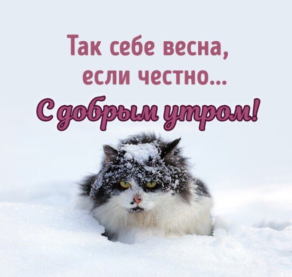 Весна ты где