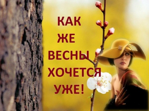 Смешные афоризмы про весну