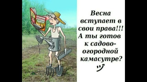 Весенние статусы красивые