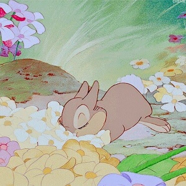 Зайчик утром