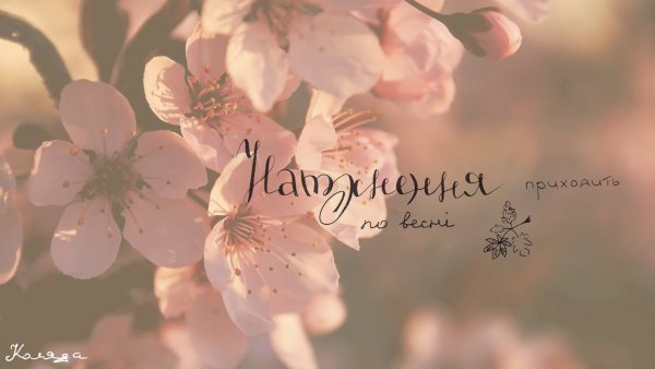 Весенние Мотивационные обои