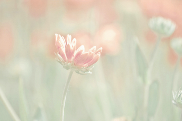 Пастельные тона