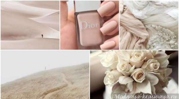 Палитра нюд оттенков бежевый