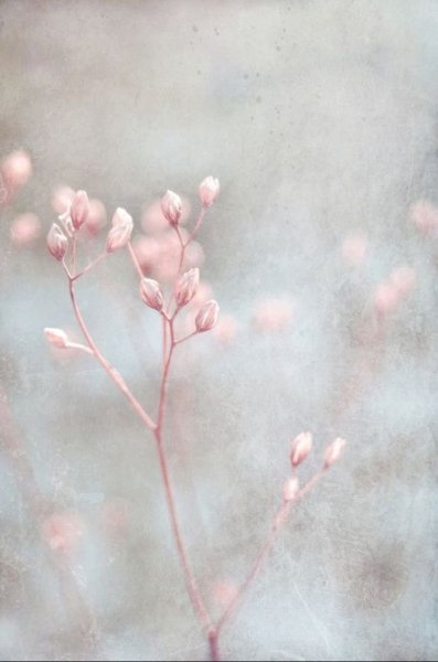 Эстетика пастельных тонов