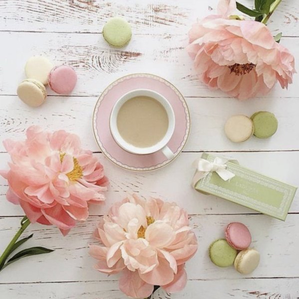 Пионы флэтлэй