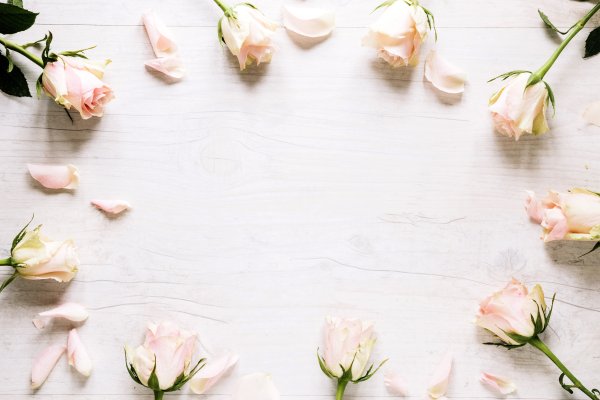 Фотофон бежевый