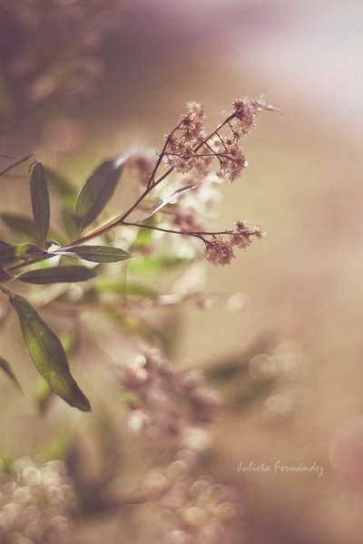 Весна в коричневых тонах