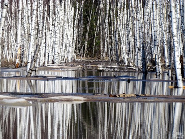 Весна в России