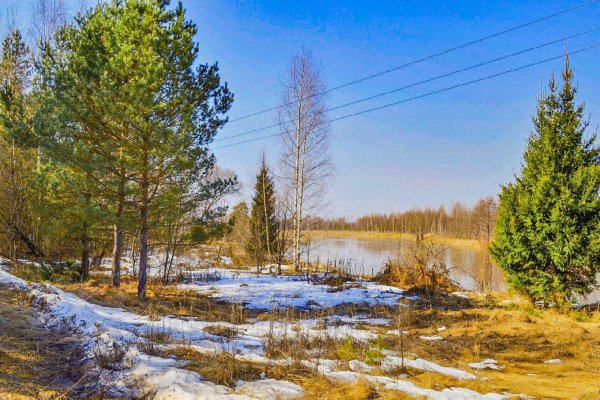 Март природа Россия панорама