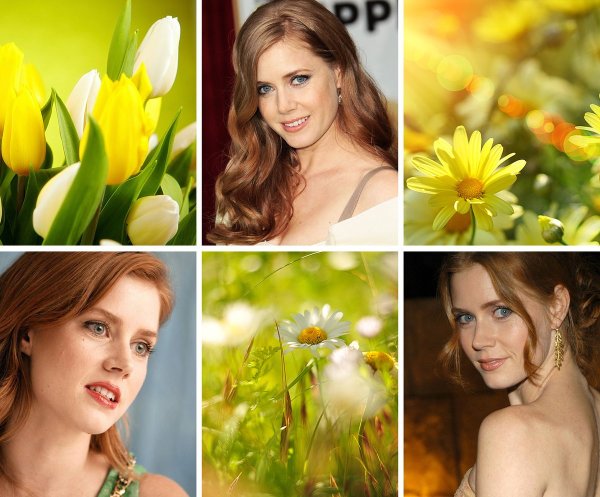 Ханна цветотип