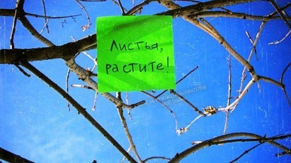 Приколы про весну смешные