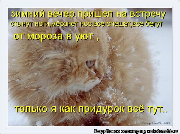 Мерзнет нос