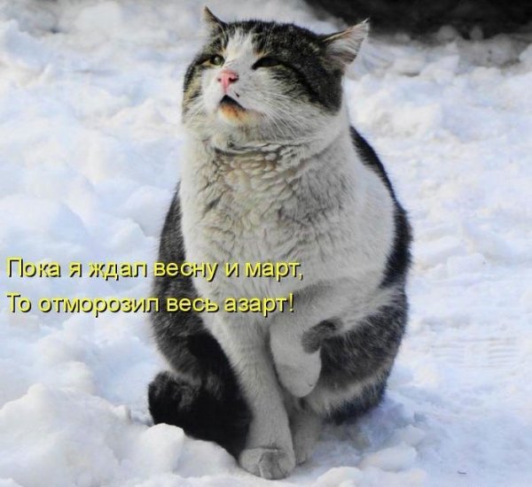 А что Весна опять свалила