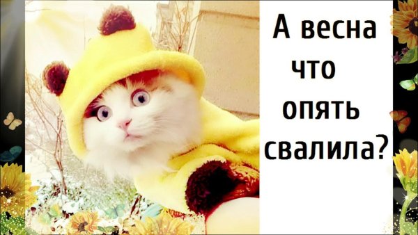 Приколы про зиму и весну