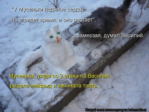Кот в сугробе