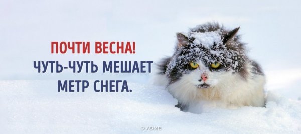 Зимние приколы с надписями