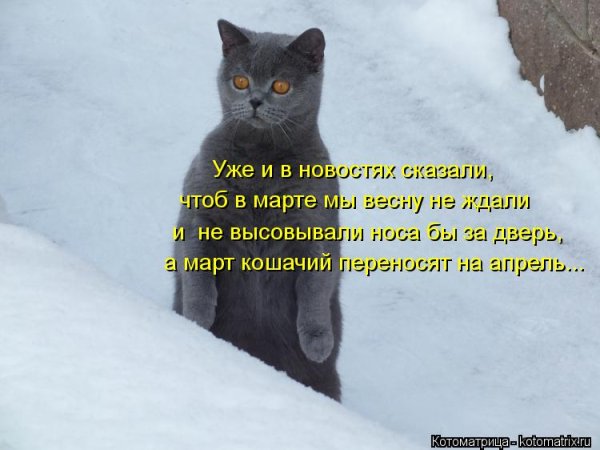 Прикольные статусы про холод