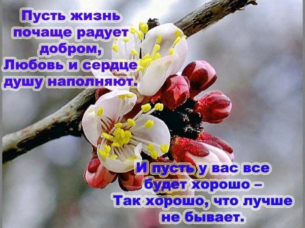 Прекрасного февральского утра