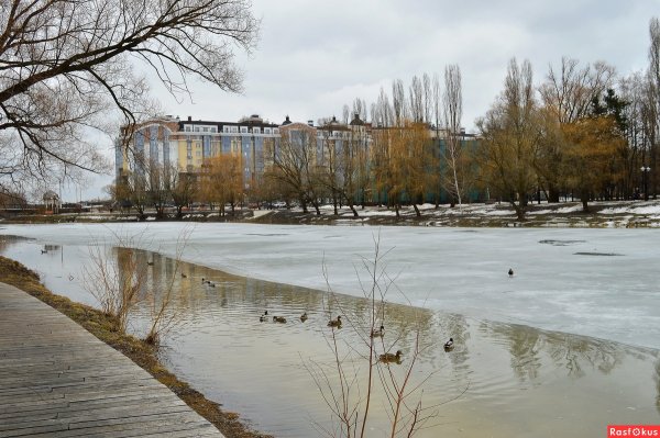 Белгород весенний