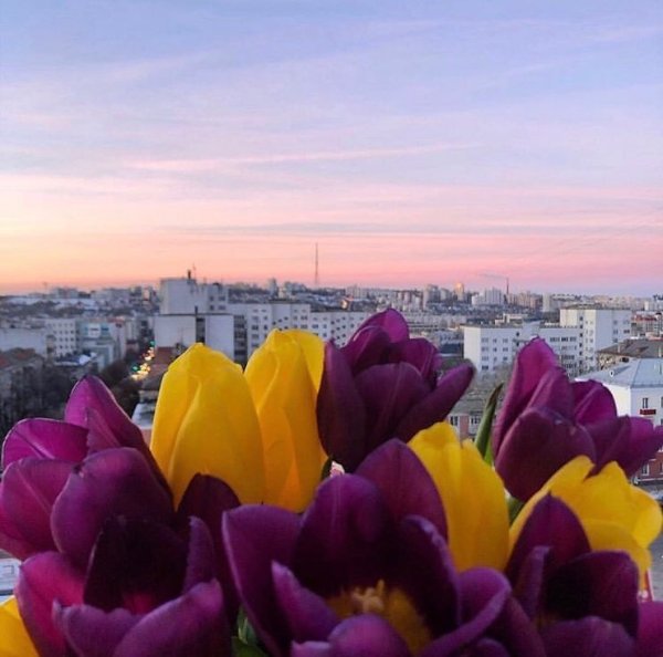 Белгород весенний