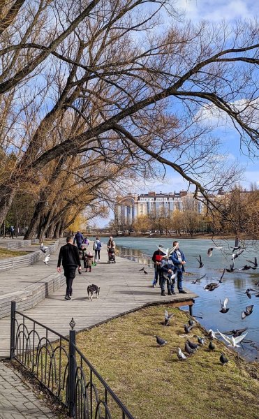 Белгород тюльпаны 2022