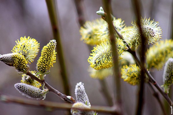 Весна в Белгороде