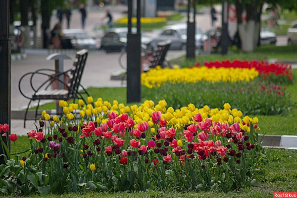 Набережная реки Везелка Белгород
