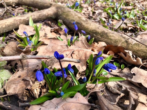 Городской округ город Белгород