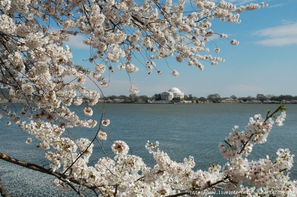 Белогорье Белгородская область пейзажи