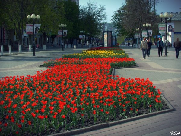 Весна в Белгородской области