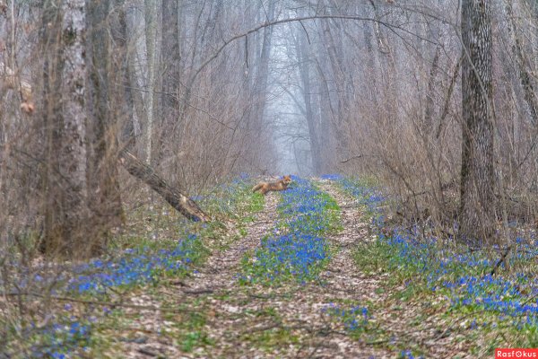 Дон Ростов на Дону весной