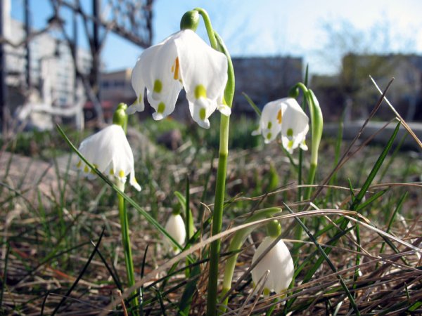 2022 Белгород центр города