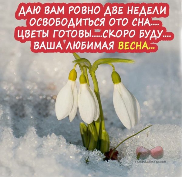 Весна время надежд