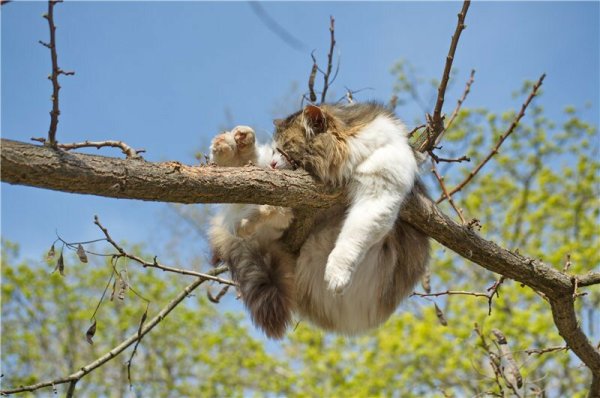 Зима пришла