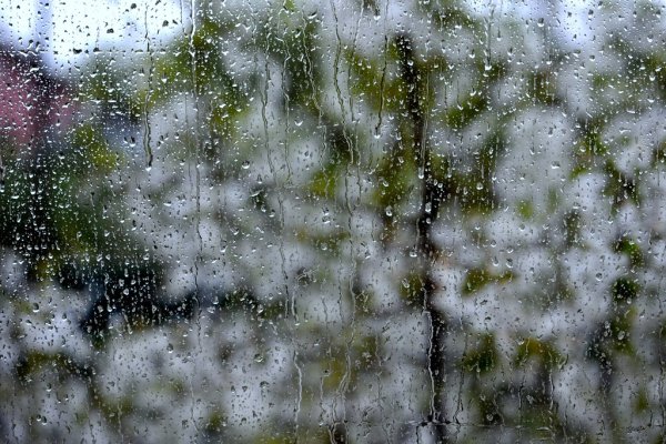 Дождливая Весна