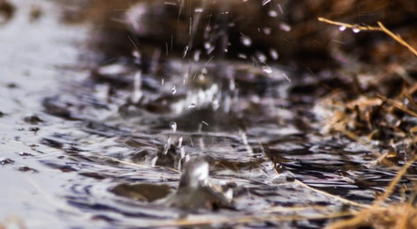 Весенний дождик