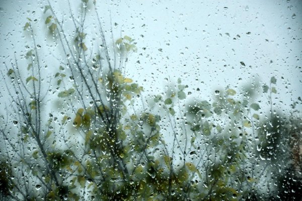 Дождь весной