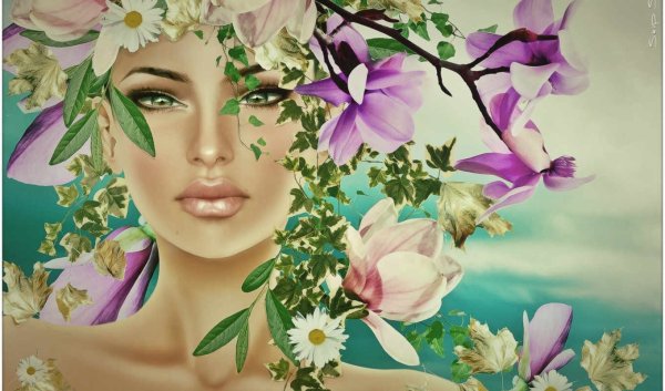 Сказочное поле