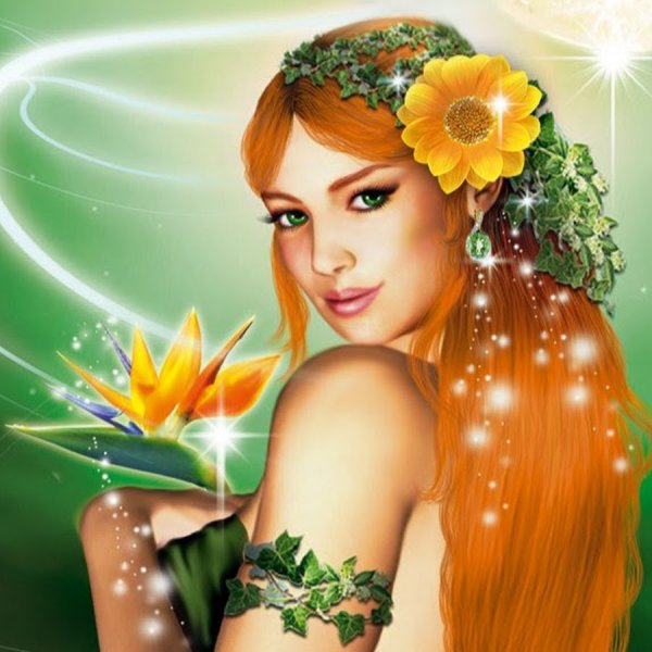 Черемшина украинская