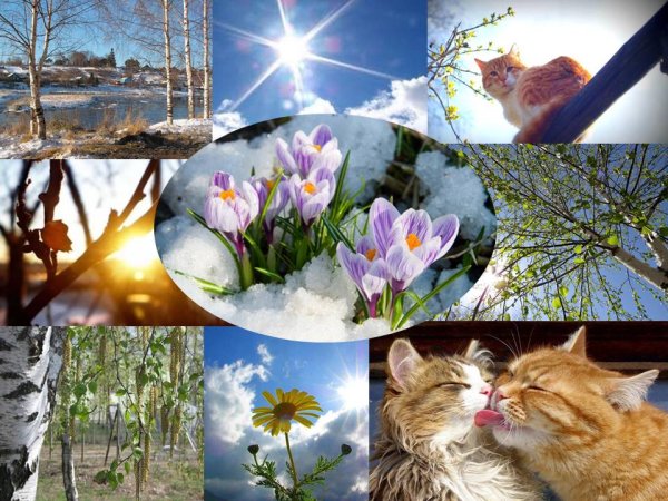 Фотоконкурс Весна пришла