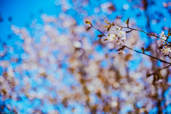 Весна real Life