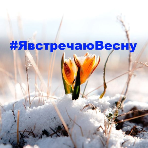 Весенний фотоконкурс