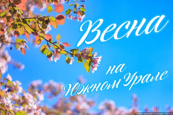 Фотоконкурс Весна