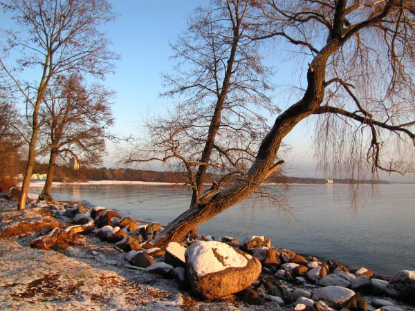 Свиязова Светлана