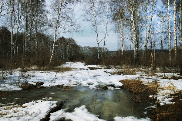 Природа России