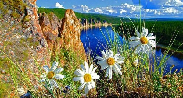 Дети весной