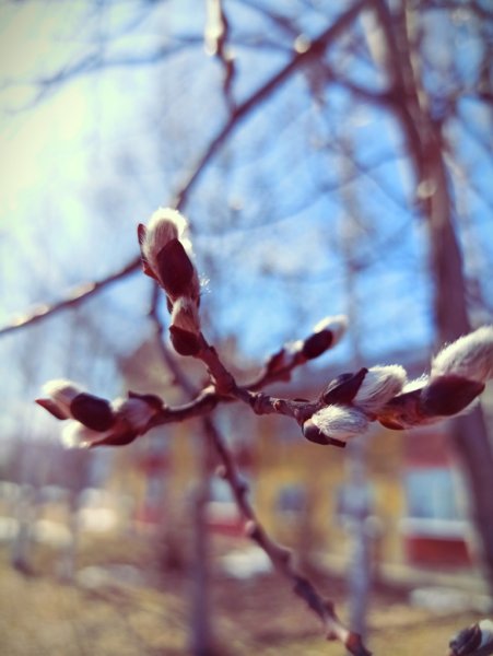 Река Чусовая Весна