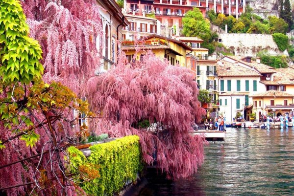 Озеро Гарда Весна в Италии