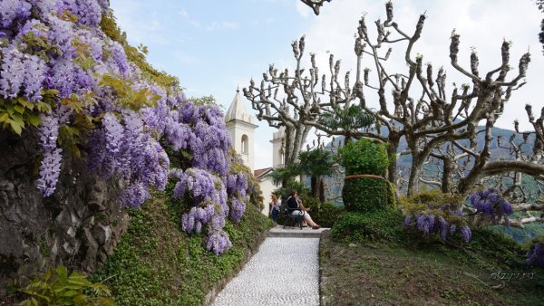 Гарда Глициния