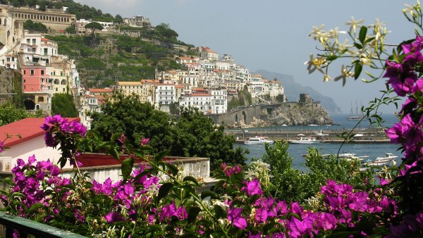 Цветущий город